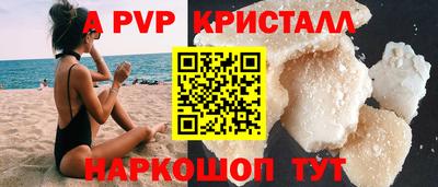 гашик Камышлов