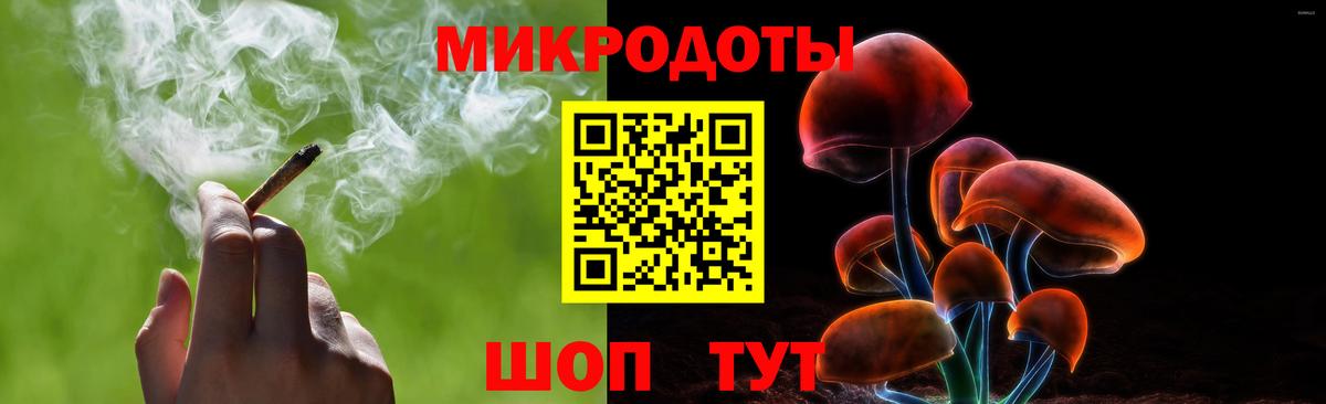 Ленинск-Кузнецкий  Псилоцибиновые грибы Psilocybe  Вход с VPN 